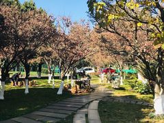 -云南师范大学(一二一西南联大校区)