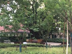-徐家汇源景区-衡山公园