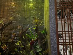 -泰适SPA馆丨精油·按摩·足道(后海地铁口店)