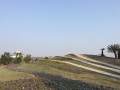 -南通洲际绿博园