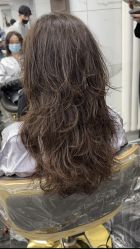 -ON STAR SALON