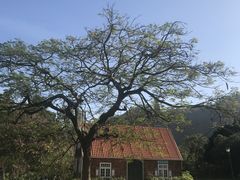 -南沙蒲洲花园