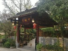 -青城甲(青城山店)