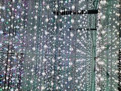 -上海梵高星空艺术馆(南京路旗舰店)