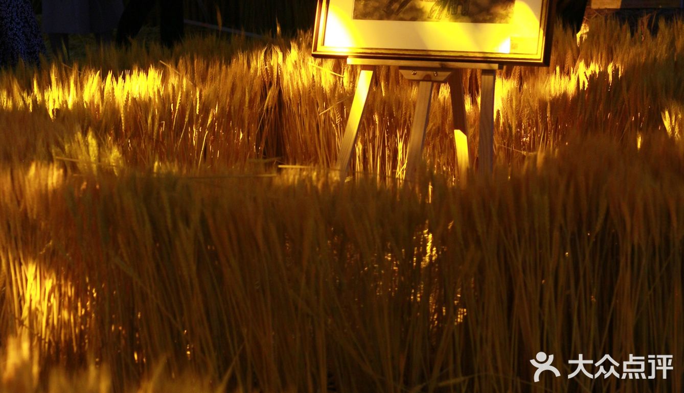 北京新展｜丰收的喜悦，庆丰收福临门艺术展