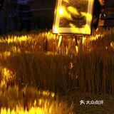 北京新展｜丰收的喜悦，庆丰收福临门艺术展