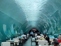 -海棠湾洲际-涛·海底餐厅·美人鱼·自助餐·海底隧道