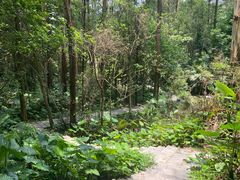 -火炉山森林公园