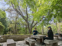 -青岛崂山太清宫