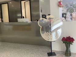 -三只熊皮肤管理中心旗舰店