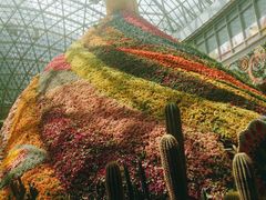 -花之城