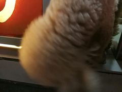 -春苗炸鸡