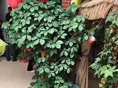 -鱼乐岛餐厅·户外花园主题餐厅