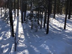 -峡谷浮石林景区