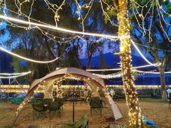 -飞来湖湿地公园