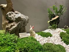 -许家菜(DT51店)