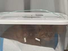 -康旭宠物医院(郑州总院)