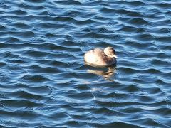 -长春市南湖公园