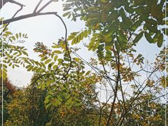 -福州贵安·温泉世界