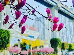 -万达广场(巴南店)