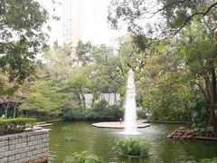 -九龙公园