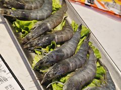 -杨记齐齐哈尔烤肉(总店)