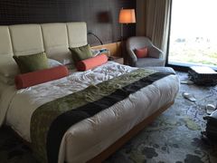 -新加坡文华东方酒店