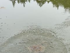 -北宫国家森林公园