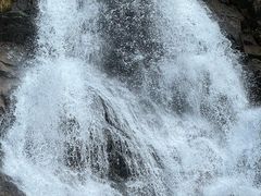 -海南热带雨林国家公园吊罗山景区