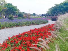 -映月湖公园