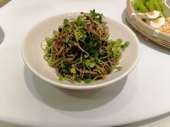 -紫光园(顺义店)