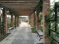 -石家庄市植物园