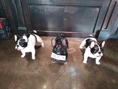 -LYFATTI 莱芙缇(赣水路店)