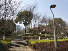 -尚贤河湿地