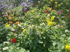 -黑龙江省森林植物园