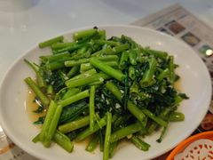 炒空心菜-澳门陈光记烧味饭店(郎家园店)