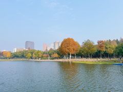 -楚望台遗址公园