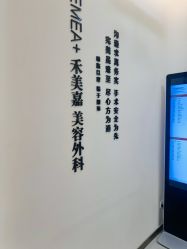 -禾美嘉医疗美容