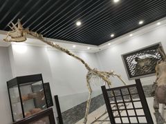 -游龙石文化科普馆