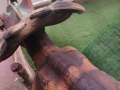 -陕西自然博物馆