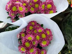 -循礼门鲜花花市(武汉循礼门店)