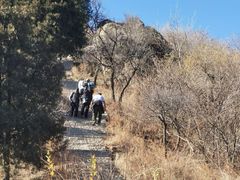 -北京西山国家森林公园