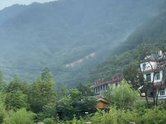 -牛背梁国家森林公园