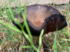 -洪湖家庭农场·团建·露营·会议