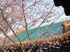 -颐和园