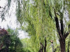 -南长河公园