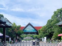 -上海海湾国家森林公园