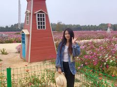 -日照灯塔风景区