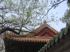 -北京国子监胡同