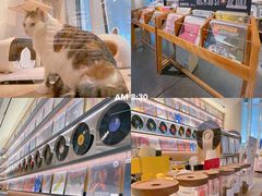 -黑胶星球(华发中城商都店)